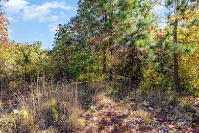 13562 Smithford Rd, Hickory Grove, SC 29717 - photo 6