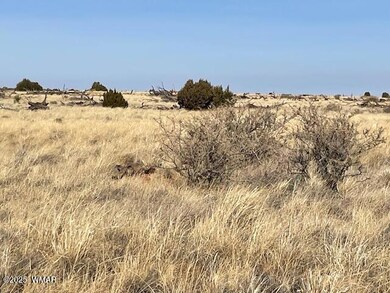 5518 Glasglow Dr, Snowflake, AZ 85937 - photo 2