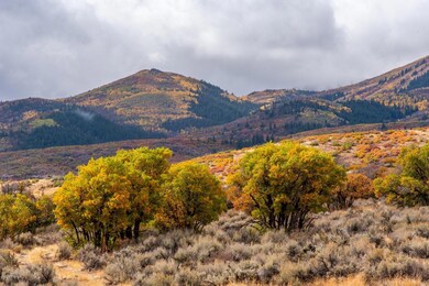 Lot-View_1800x1200_3146400