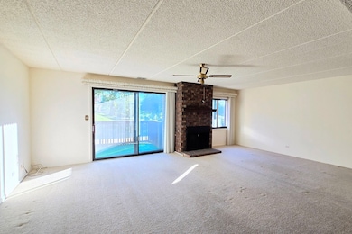 650 Whitney Ct unit 108, Gurnee, IL 60031 - photo 3