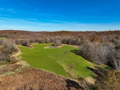 Illinois Route 1 unit LotWP001, Cave In Rock, IL 62919 - photo 5