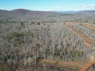 1275 Salem Rd, Schuyler, VA 22969 - photo 3