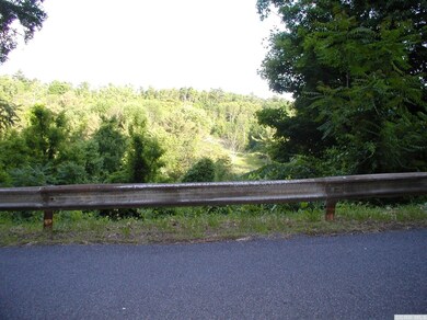 0 Leeds Athens Rd unit 110052, Athens, NY 12015 - photo 6