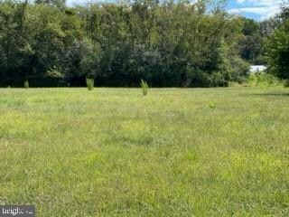 Lot # 22 Bi-State Blvd, Laurel, DE 19956 - photo 5