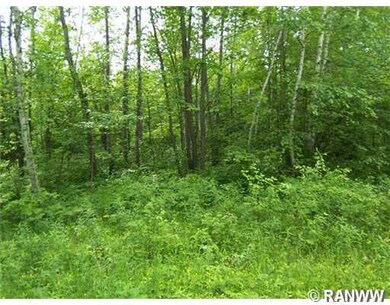 Lot 10 Deer Stand Trail, Meenon Township, WI 54893 - photo 5