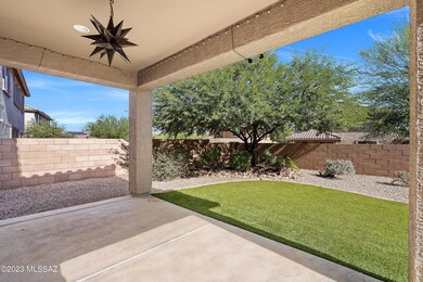 3 Backyard-2