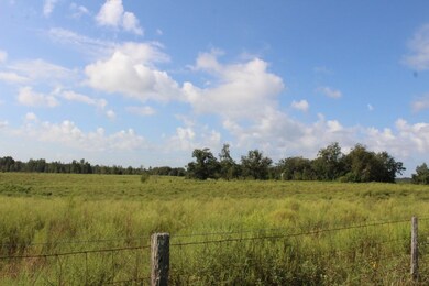 Look at the vista. A sight for sore eyes.