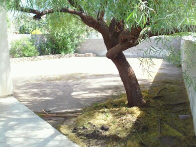 Desert Mesa Drive 10178 E Pics 004