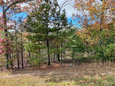 LT 29 Sharp Top Settlement, Blairsville, GA 30512 - photo 2