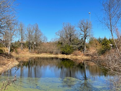 1 Paradise Rd, West Ozark Township, MO 65757 - photo 7