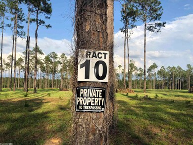 32642 County Road 64 Extension, Robertsdale, AL 36567 - photo 7