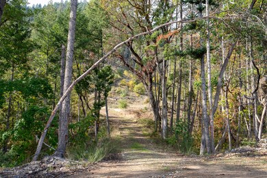 _DSC1478