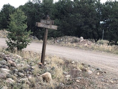 3386 Genial Way, Crestone, CO 81131 - photo 5