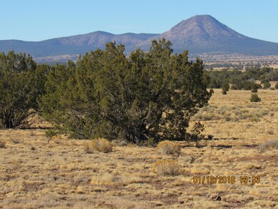 9 Junipetrwood Ranch, Ash Fork, AZ 86320 - photo 3