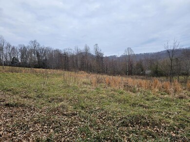 0 Montreal Ln unit 360716, Shipman, VA 22971 - photo 3