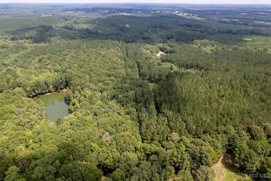 927 Highway 166, Elba, AL 36323 - photo 7