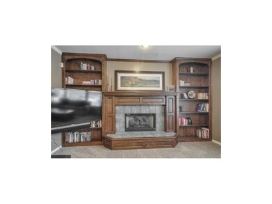 Close up view of the lovely fireplace with tile su
