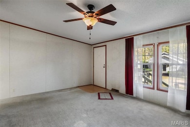 1068 E Murta St, Marquand, MO 63655 - photo 5