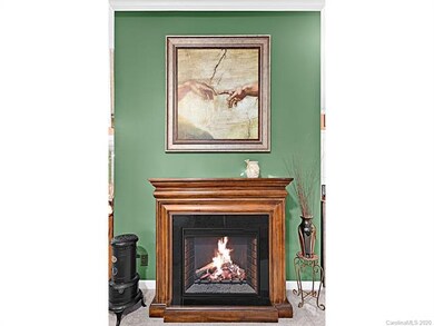 333 Carolina Pines Ct, Leicester, NC 28748 - photo 6