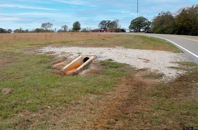 Lt 1  TBD Fm 1892, Frankston, TX 75763 - photo 5