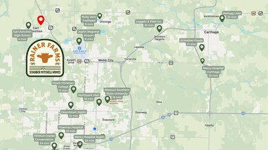 905 Aberdeen Ave, Twin Groves Township, MO 64834 - photo 2