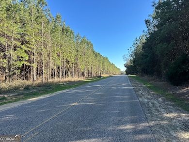 012 Mount Zion Rd, Gordon, AL 36343 - photo 2