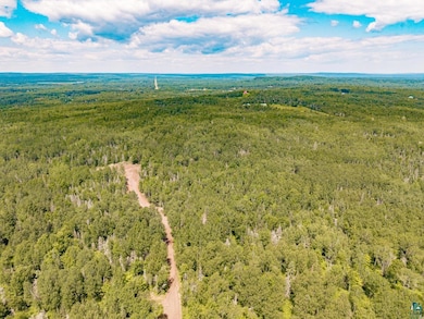 X Stanley Rd, Lake No. 2, MN 55616 - photo 3