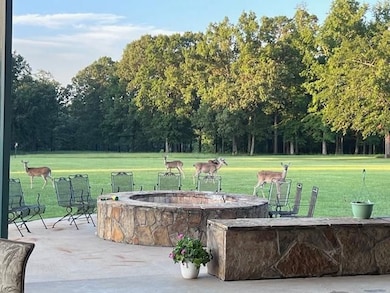 15250 County Road 3111, Gladewater, TX 75647 - photo 5