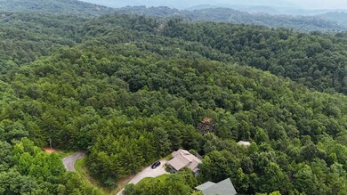 0 S King Branch Rd unit RTC2908148, Sevierville, TN 37876 - photo 4