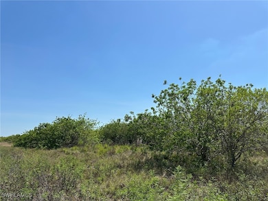 0 6th Ave unit 225052101, Labelle, FL 33935 - photo 2