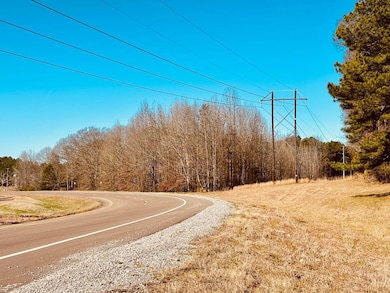 Hwy 12, Durant, MS 39063 - photo 3
