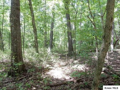 Lot 374 Highland Hills Subdivision, Howard, OH 43028 - photo 4
