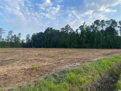 Lot 8 U S 701 Hwy unit 6190 Highway 701 S, Conway, SC 29526 - photo 5