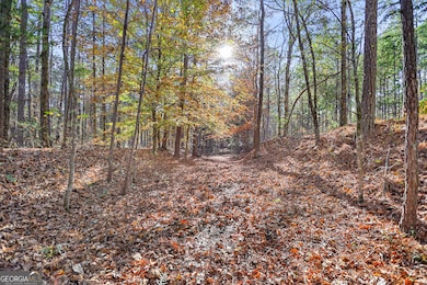 11.62+/- AC New Franklin Rd, Hogansville, GA 30230 - photo 6