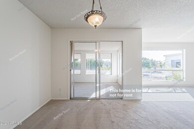 photo_13
