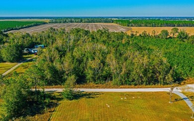 Tbd 51st Dr, Live Oak, FL 32060 - photo 4