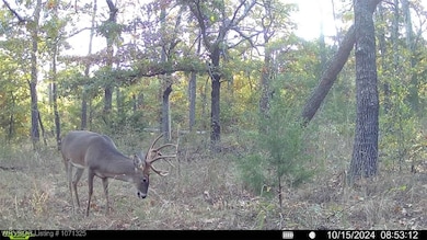 Tract 2 SE 179th, Wilburton, OK 74578 - photo 3