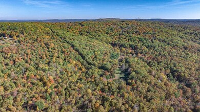 14161 Low Gap Rd, West Fork, AR 72774 - photo 7