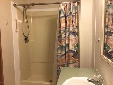 Walk In Shower