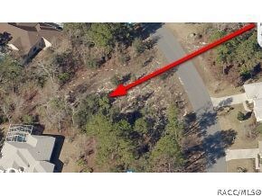 6 Primula Ct W, Homosassa, FL 34446 - photo 4