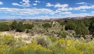 IMG_0060