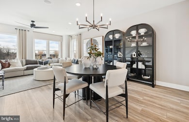 4726 Bellrock Aly, Ten Mile Creek, MD 20841 - photo 6