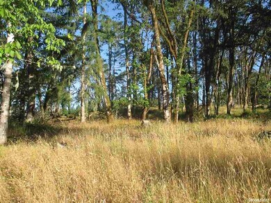 0 SW Rock Creek Rd unit 752622, Sheridan, OR 97378 - photo 3