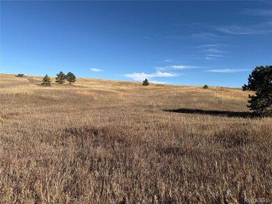 20155 E Thunder Rd, Colorado Springs, CO 80908 - photo 3