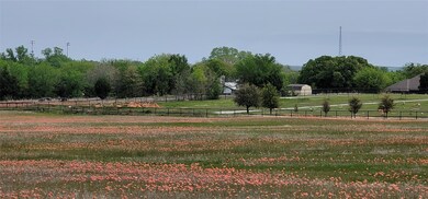 0000 County Road 4576, Boyd, TX 76023 - photo 6