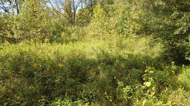 P2 Patterson Creek 3