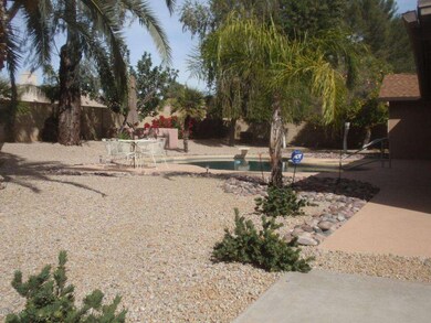 Backyard Pool