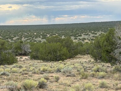 171 E Witch Well Ranches -- unit 171, Saint Johns, AZ 85936 - photo 6