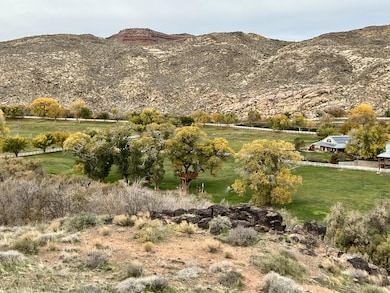 3-Backyard Valley View