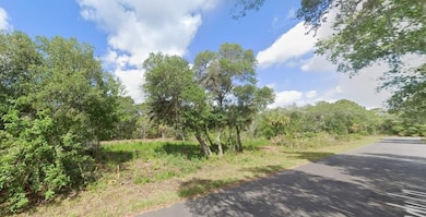 1457 Candy Ln, Port Charlotte, FL 33953 - photo 2